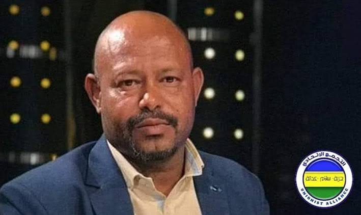 محمد عبد الحكم