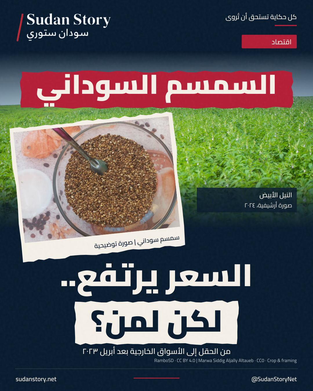 بطاقة قصة السمسم السوداني، بحقل أرشيفي من النيل الأبيض في 2014 وصورة توضيحية لبذور السمسم.